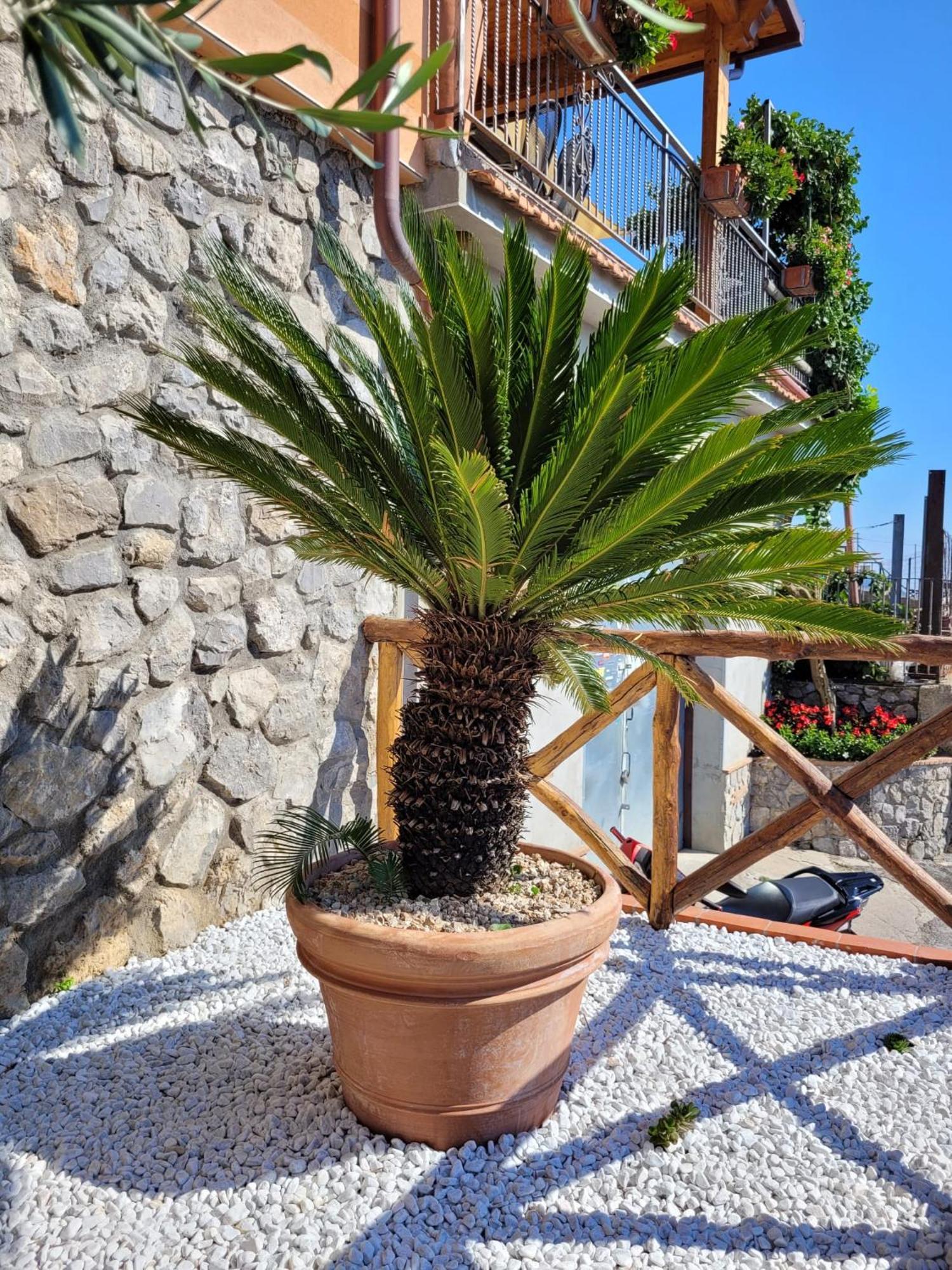 Holiday Luigi E Rachele Ravello Zewnętrze zdjęcie
